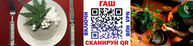 купить   Сурск  Canna-Cookies марихуана 