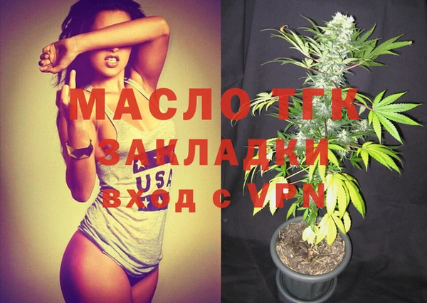 индика Рославль