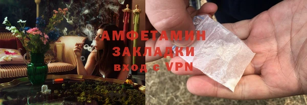 индика Рославль