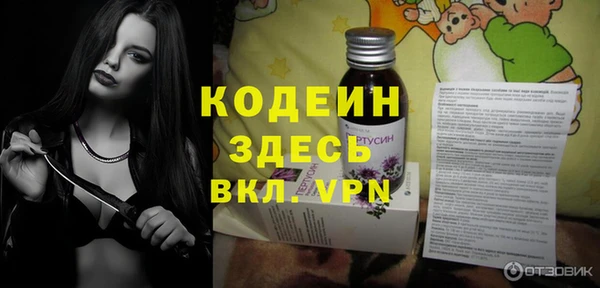индика Рославль