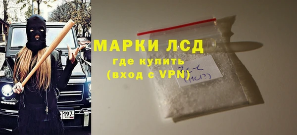 индика Рославль