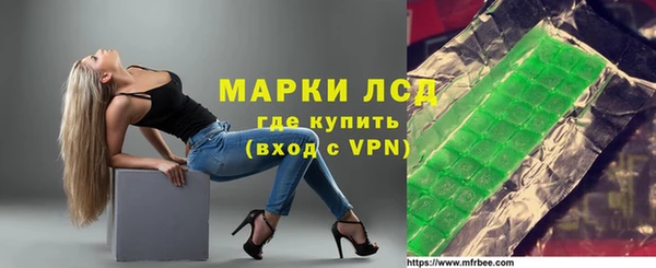 индика Рославль