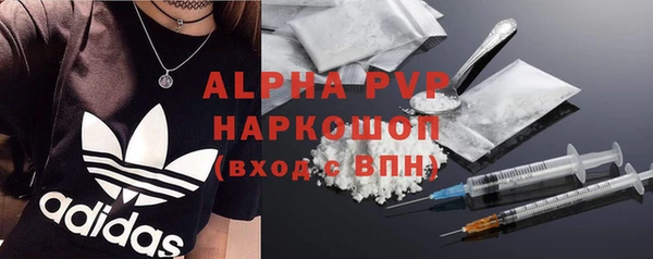 индика Рославль