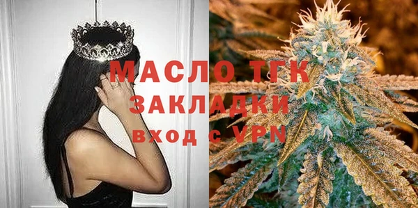 индика Рославль