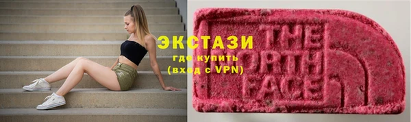индика Рославль