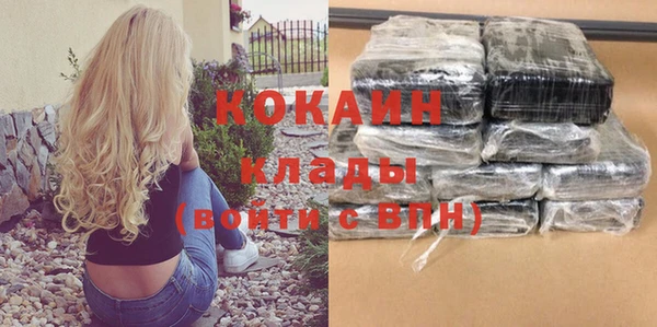 индика Рославль