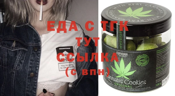 индика Рославль