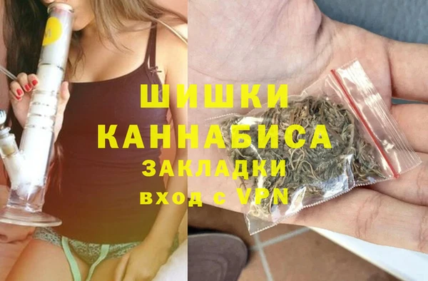 индика Рославль