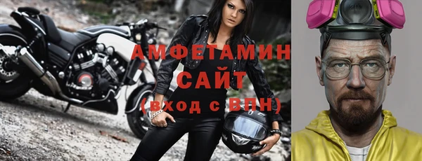 индика Рославль