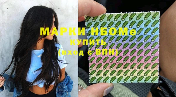 индика Рославль