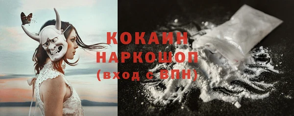 твердый Протвино