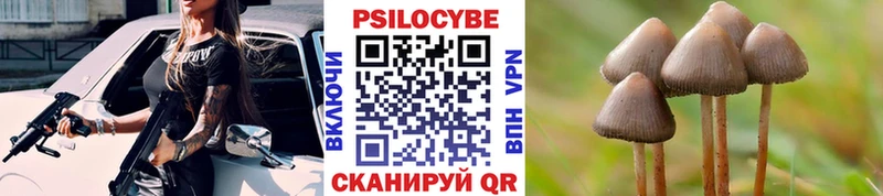 Галлюциногенные грибы Psilocybine cubensis  как найти закладки  мега рабочий сайт  Сурск 