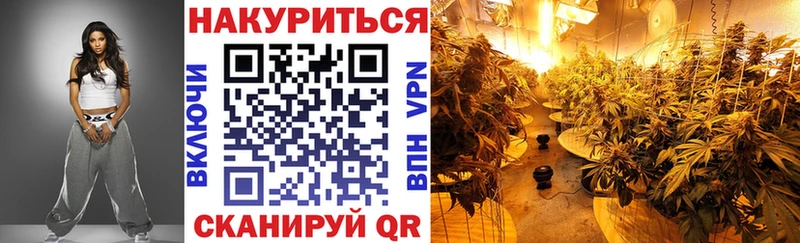 kraken tor  Сурск  Конопля VHQ 